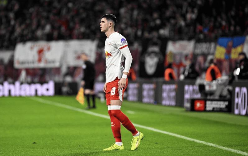 德天空：维拉/紫百合未达成协议，内德利科维奇交易告吹